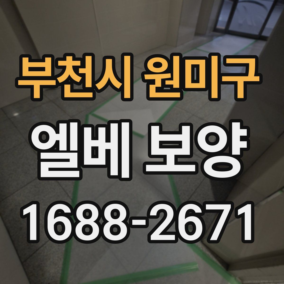 부천시 원미구 엘베 보양