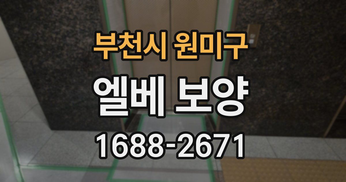 부천시 원미구 엘베 보양