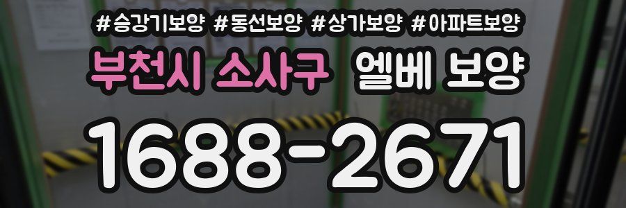 부천시 소사구 엘베 보양