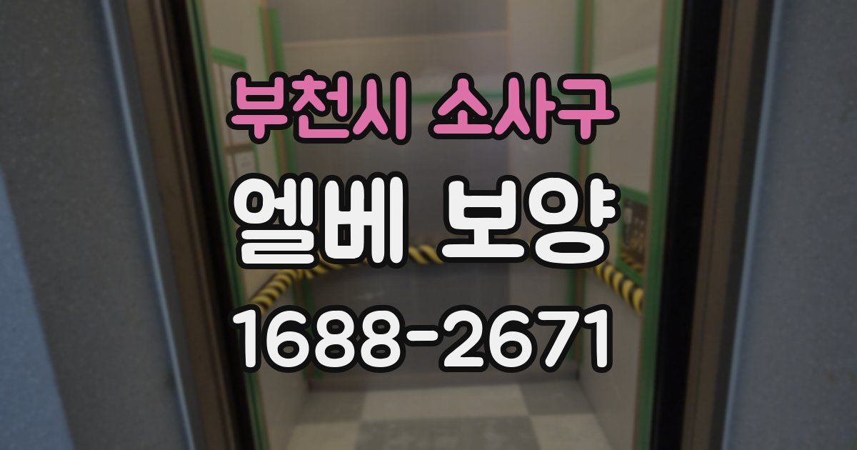 부천시 소사구 엘베 보양