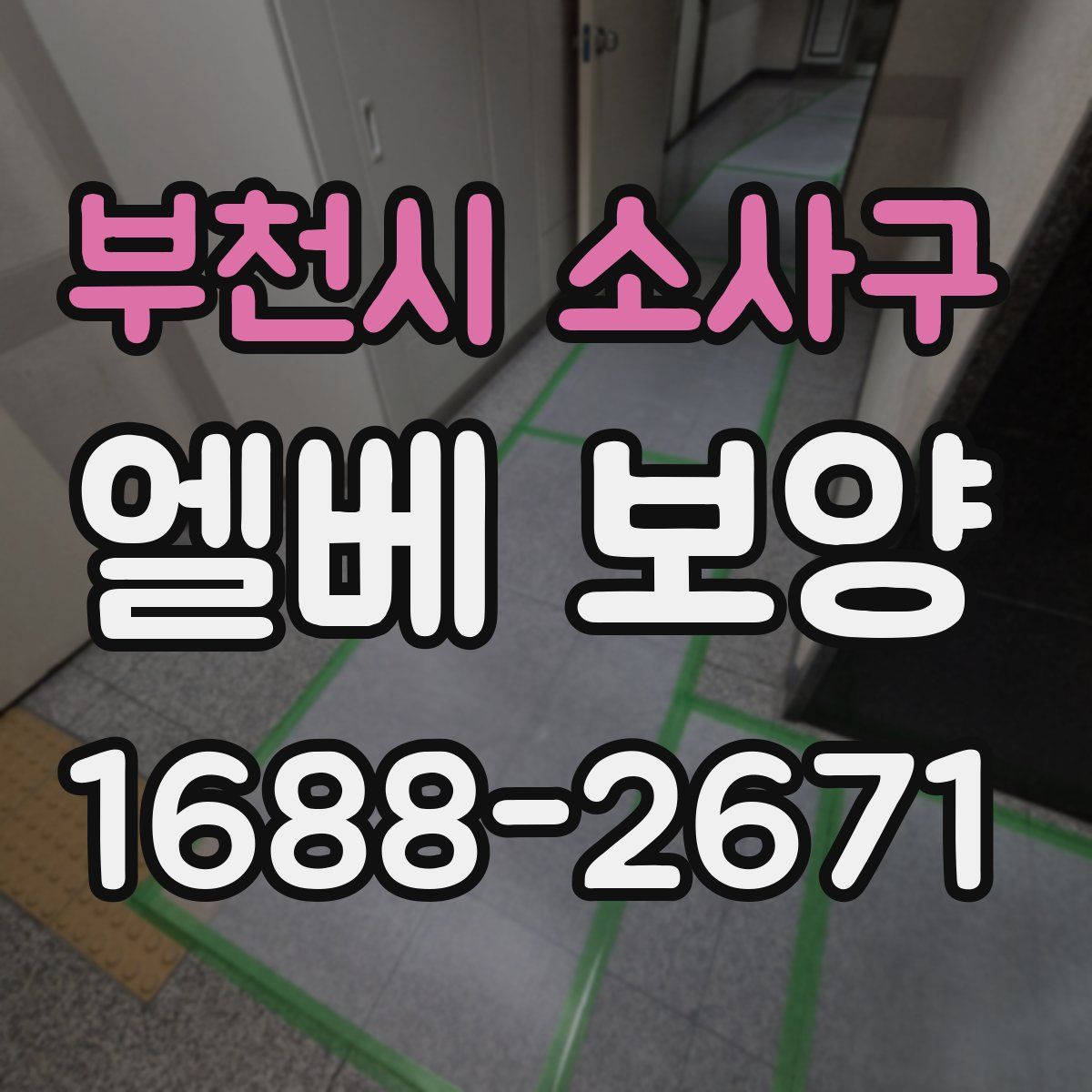 부천시 소사구 엘베 보양