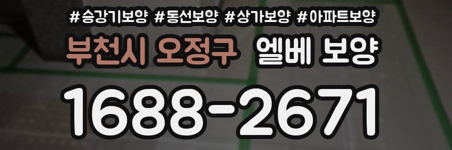 부천시 오정구 엘베 보양