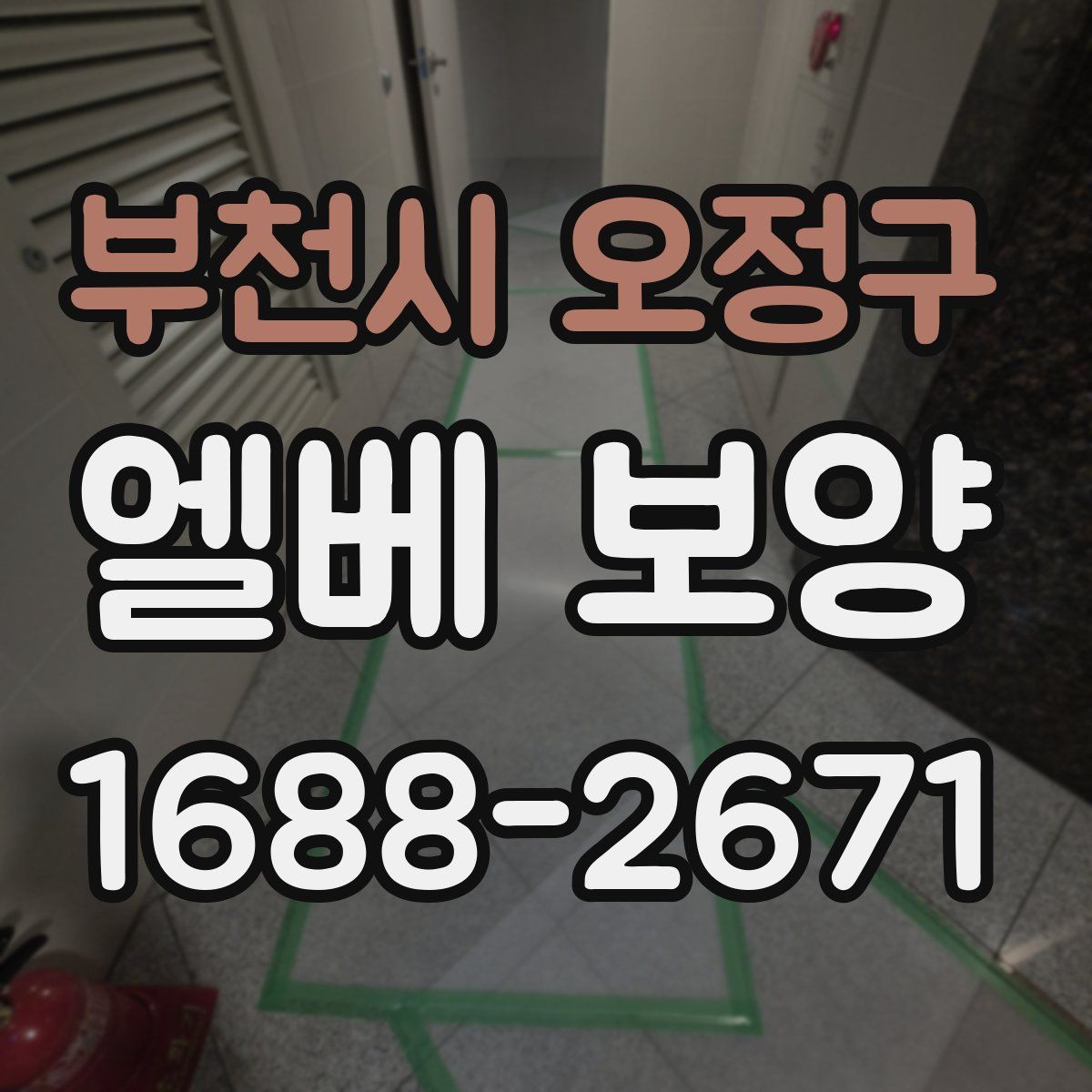 부천시 오정구 엘베 보양