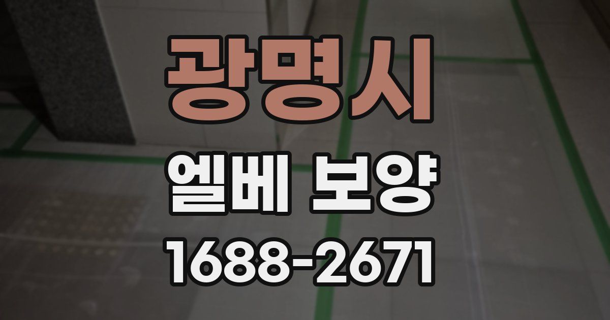 광명시 엘베 보양