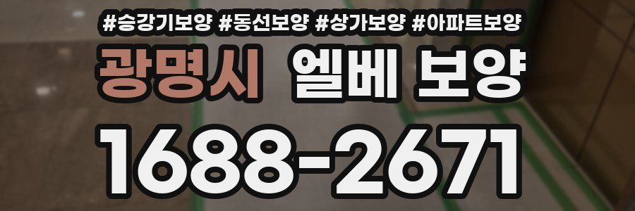 광명시 엘베 보양