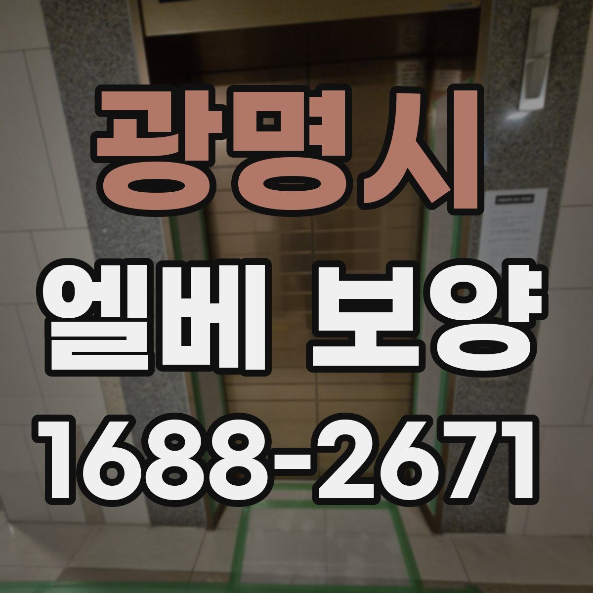 광명시 엘베 보양