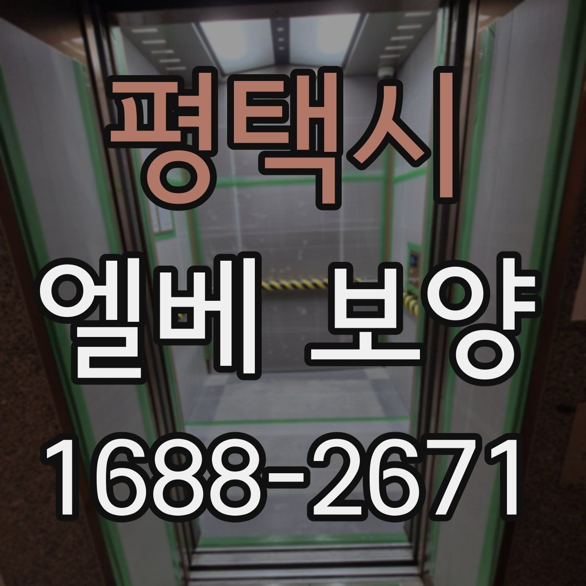 평택시 엘베 보양 보행 동선이 복잡한 아파트에서 챙길 점