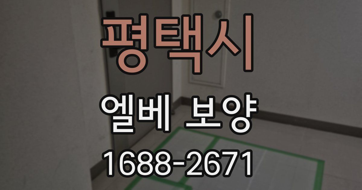 평택시 엘베 보양