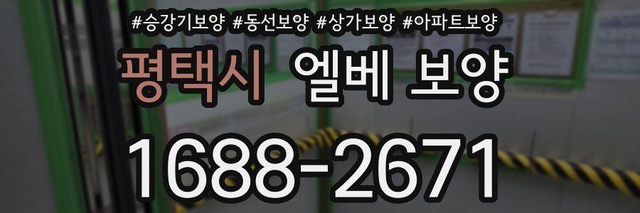 평택시 엘베 보양