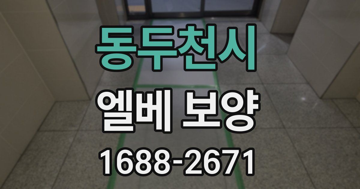 동두천시 엘베 보양