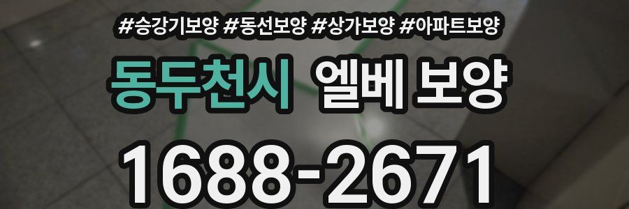 동두천시 엘베 보양