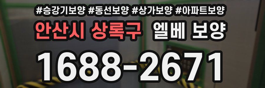 안산시 상록구 엘베 보양