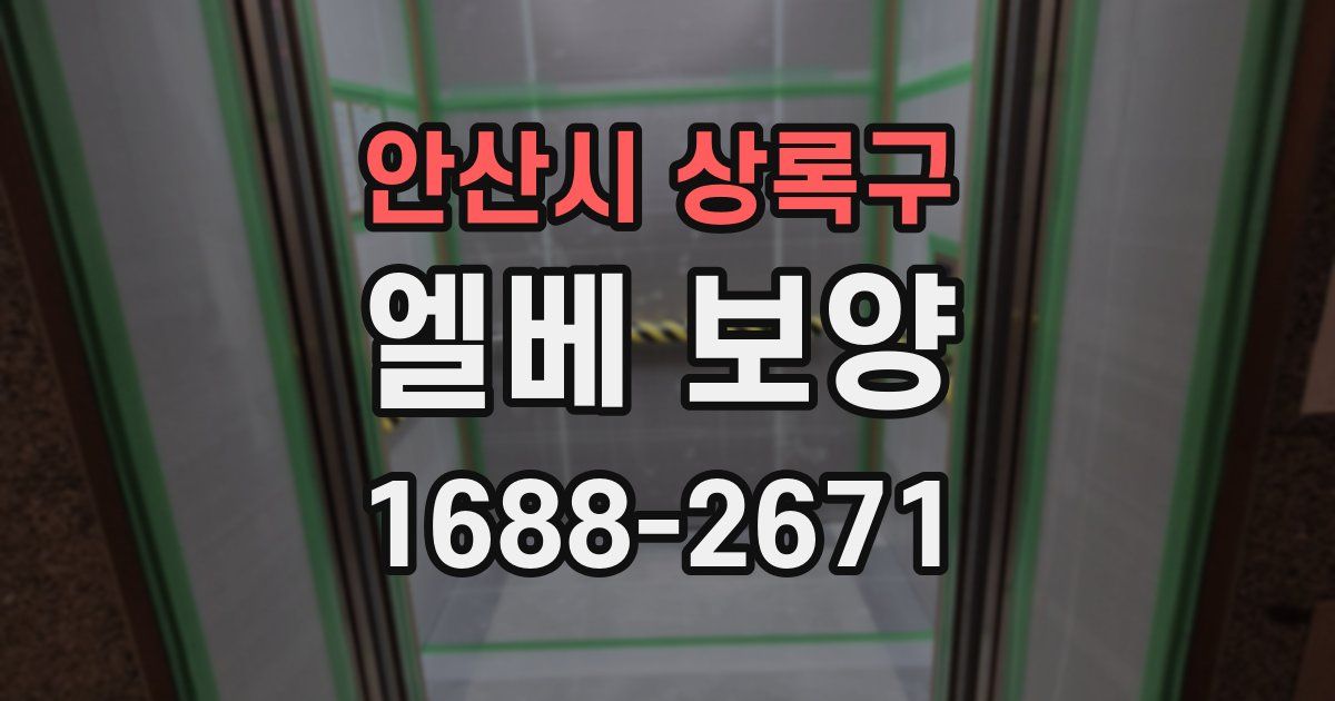안산시 상록구 엘베 보양