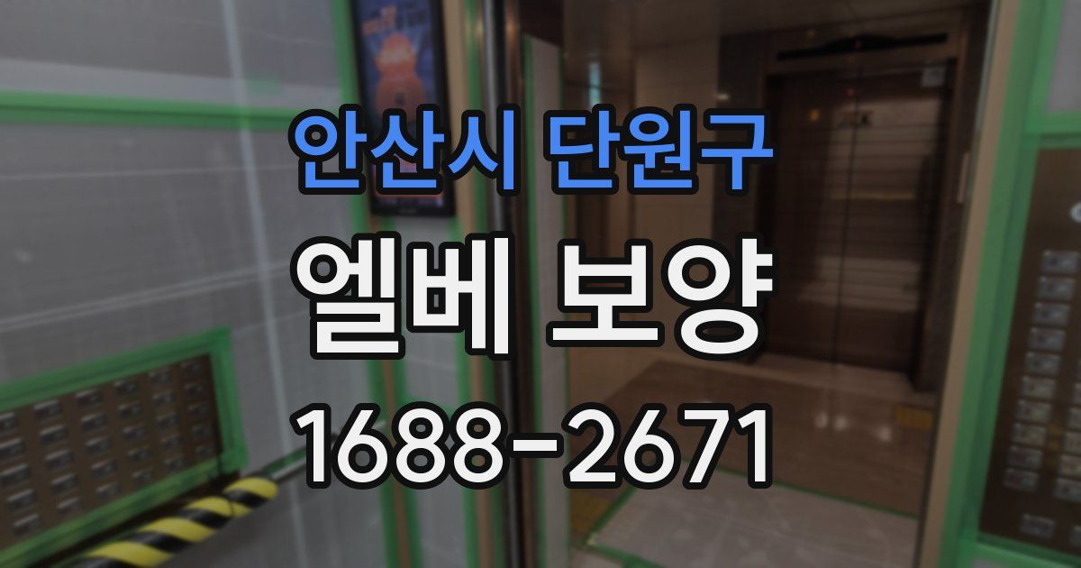 안산시 단원구 엘베 보양