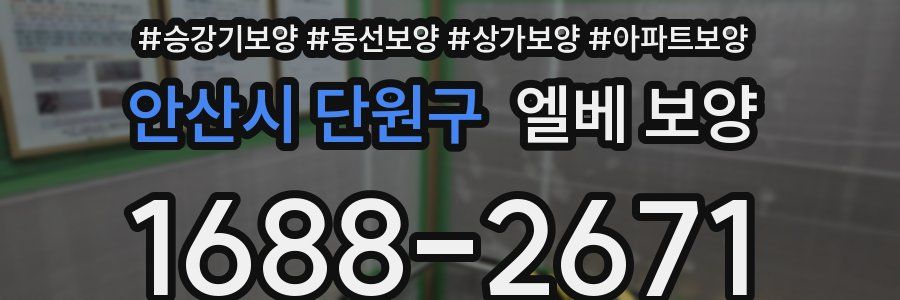 안산시 단원구 엘베 보양