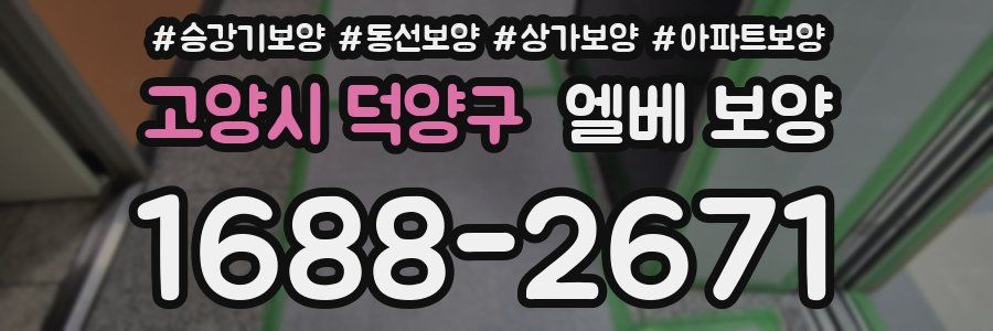고양시 덕양구 엘베 보양