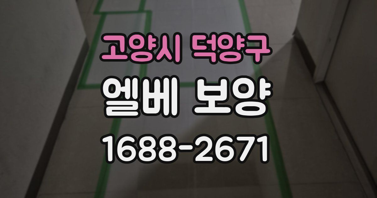 고양시 덕양구 엘베 보양
