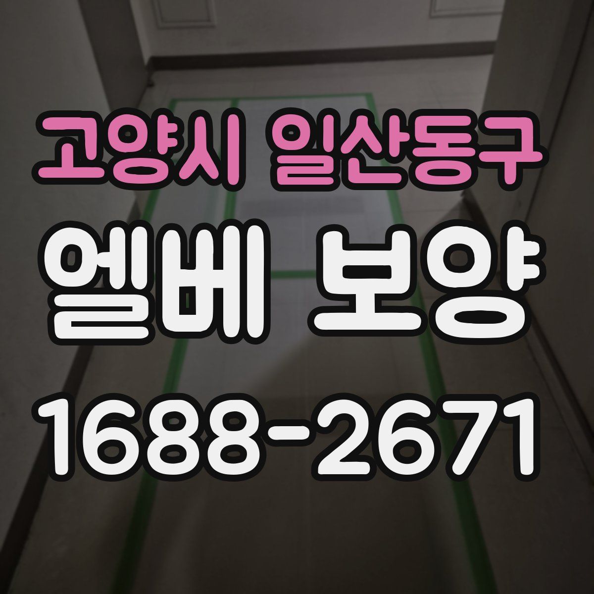 고양시 일산동구 엘베 보양