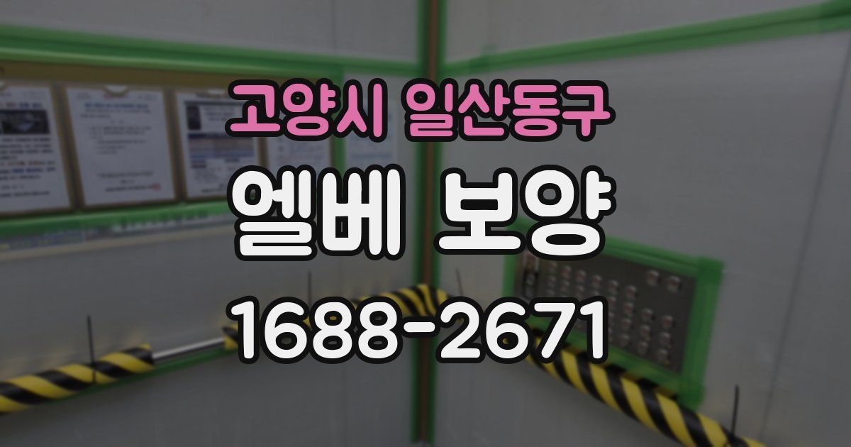 고양시 일산동구 엘베 보양