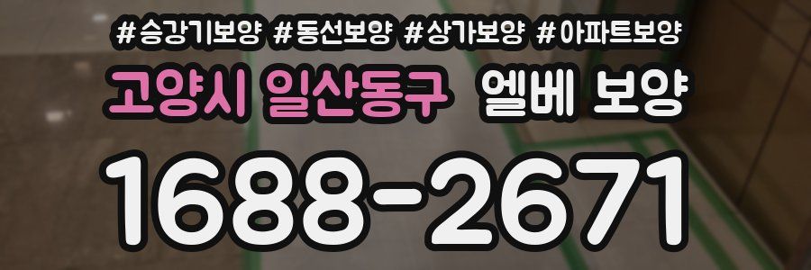 고양시 일산동구 엘베 보양