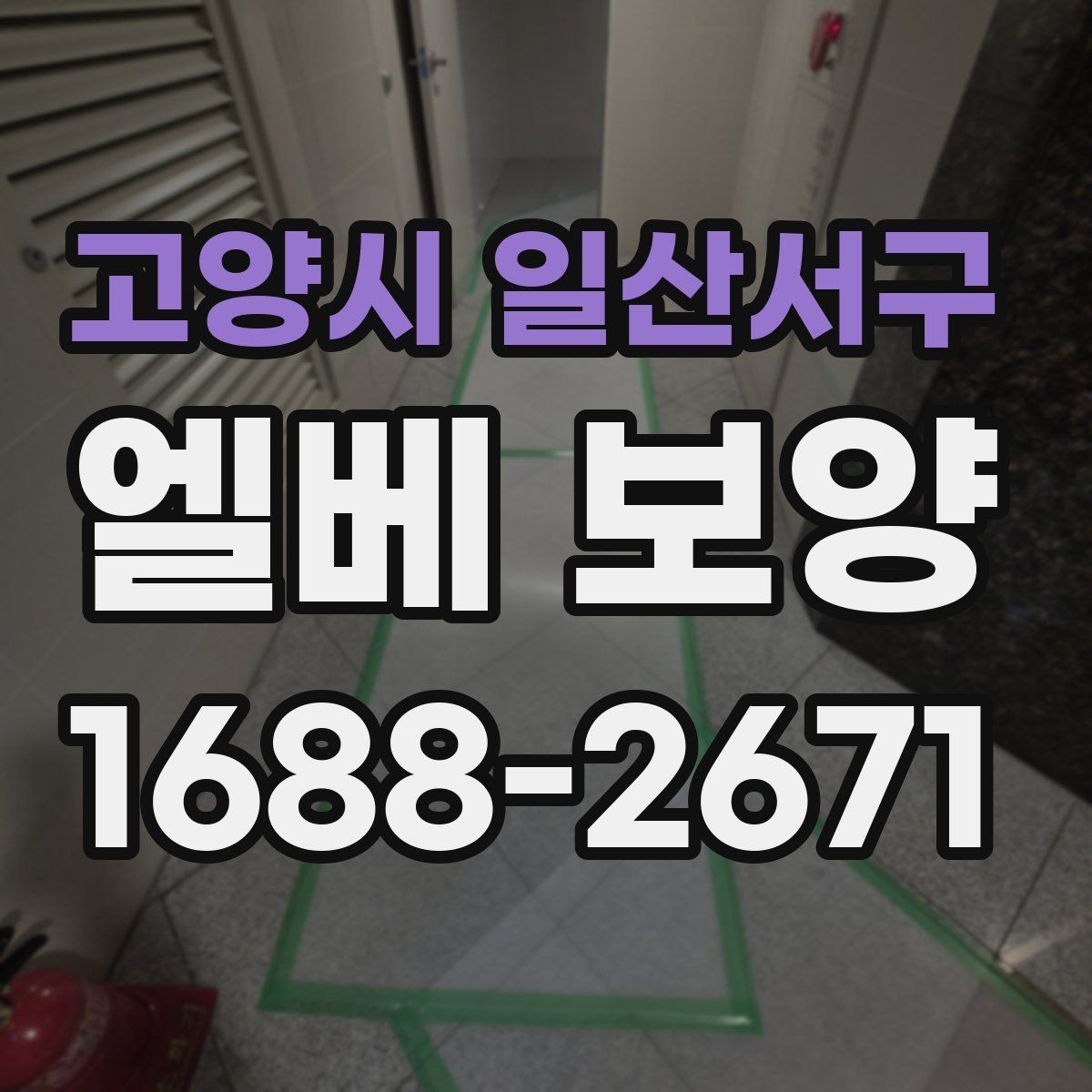 고양시 일산서구 엘베 보양 철거 없이 깔끔하게 마감하는 실무 포인트
