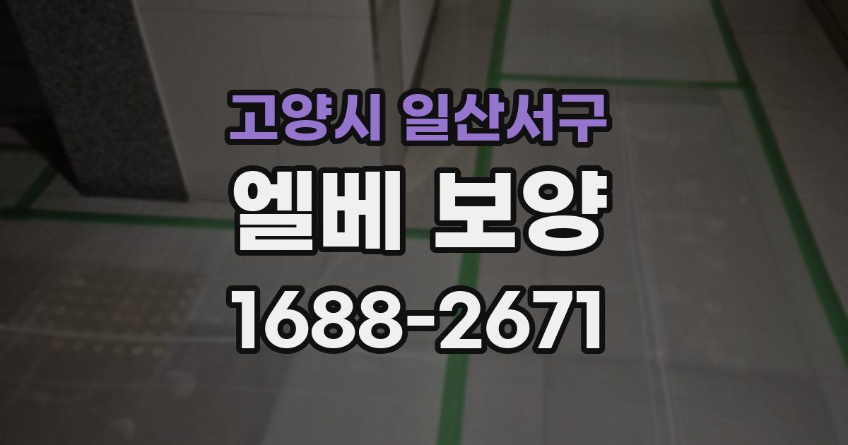 고양시 일산서구 엘베 보양