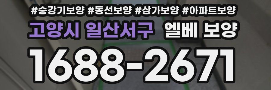 고양시 일산서구 엘베 보양