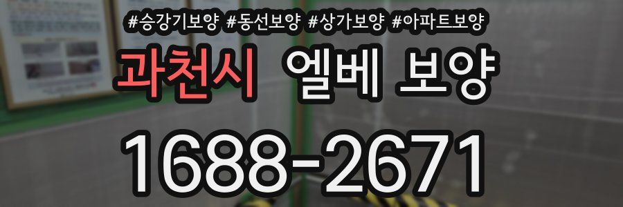 과천시 엘베 보양