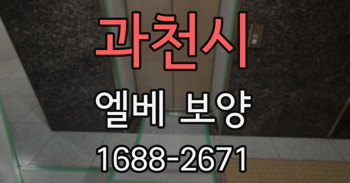 과천시 엘베 보양