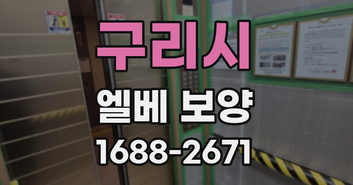 구리시 엘베 보양