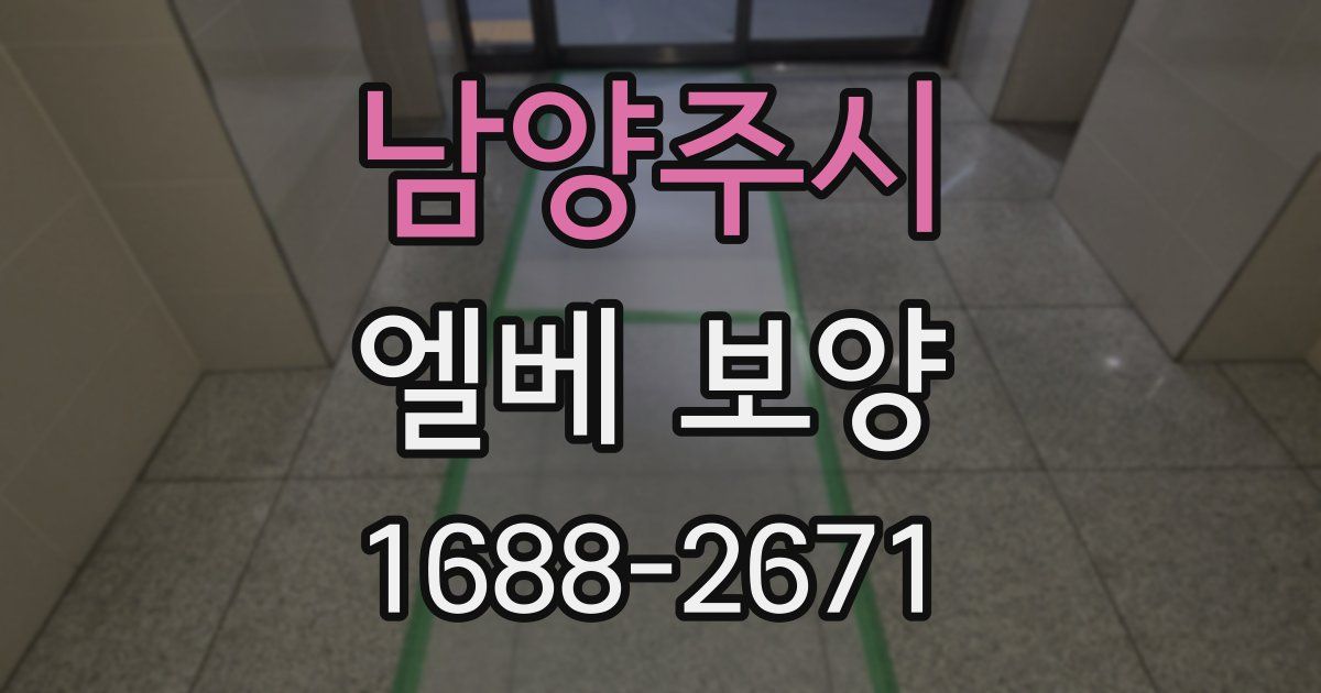 남양주시 엘베 보양