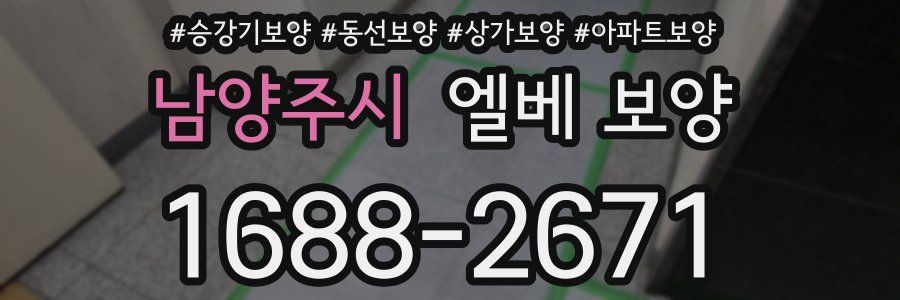 남양주시 엘베 보양