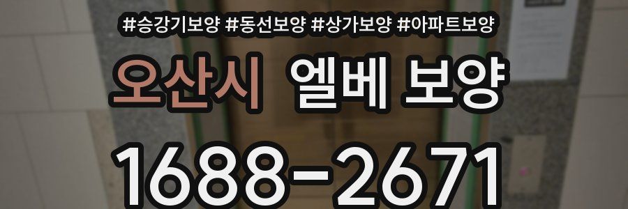 오산시 엘베 보양