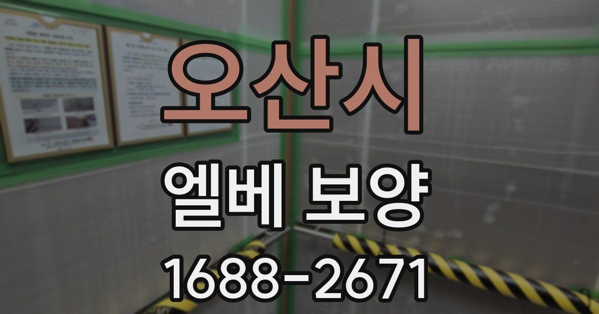오산시 엘베 보양