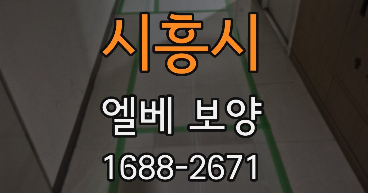 시흥시 엘베 보양