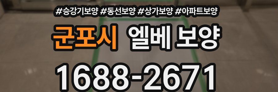 군포시 엘베 보양