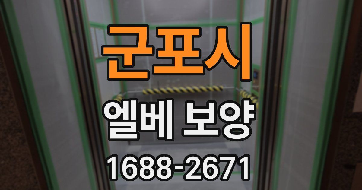 군포시 엘베 보양