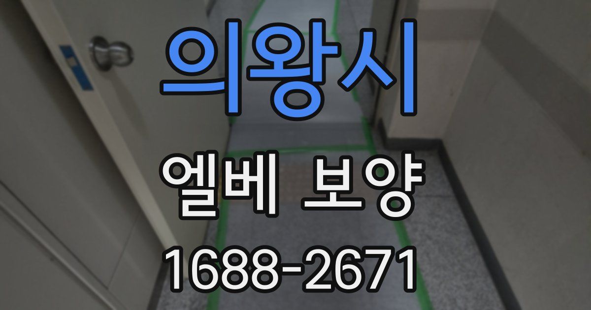 의왕시 엘베 보양
