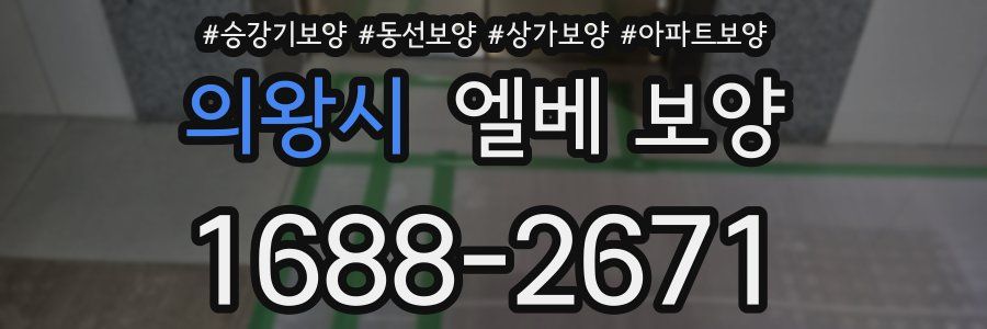 의왕시 엘베 보양
