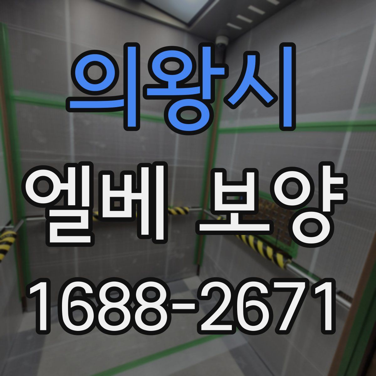 의왕시 엘베 보양