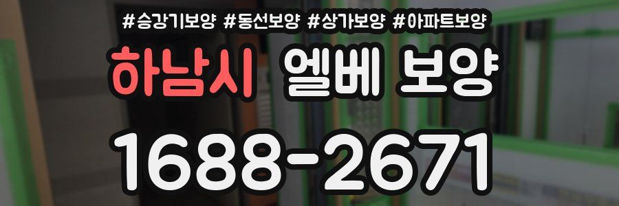 하남시 엘베 보양