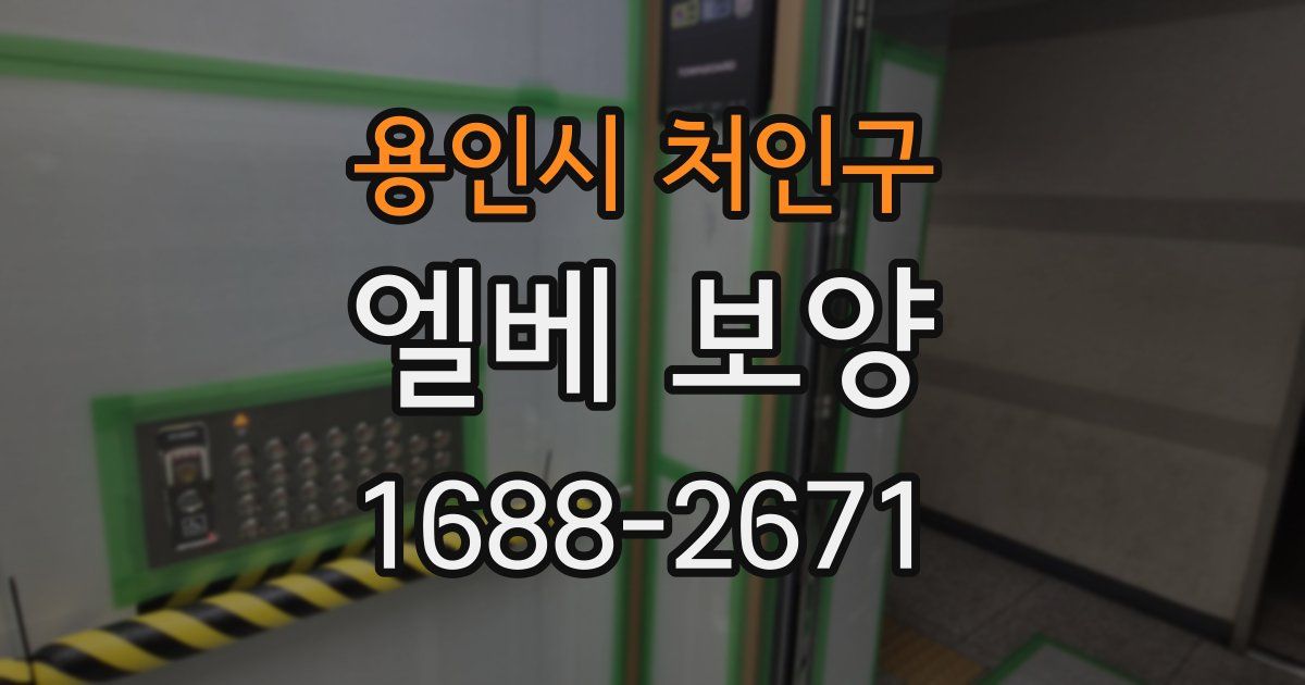 용인시 처인구 엘베 보양