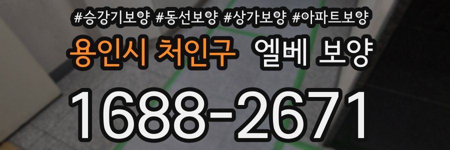 용인시 처인구 엘베 보양