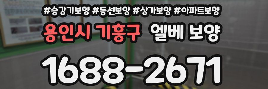 용인시 기흥구 엘베 보양
