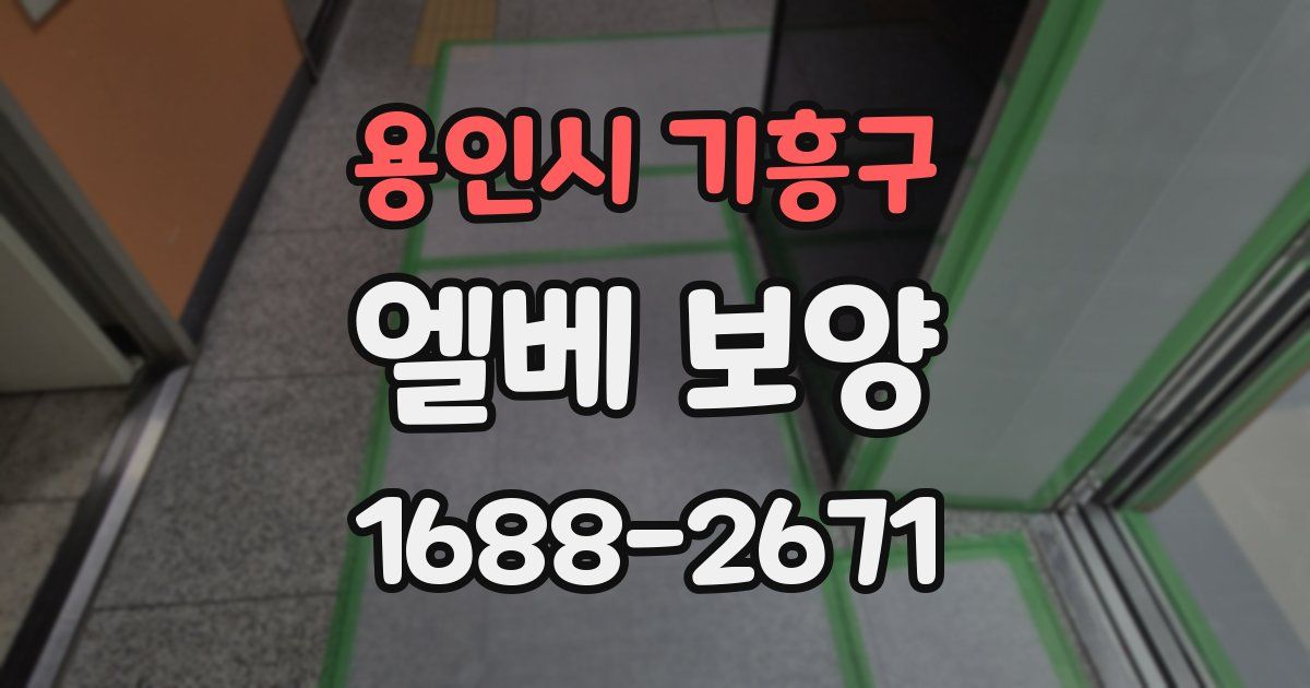 용인시 기흥구 엘베 보양