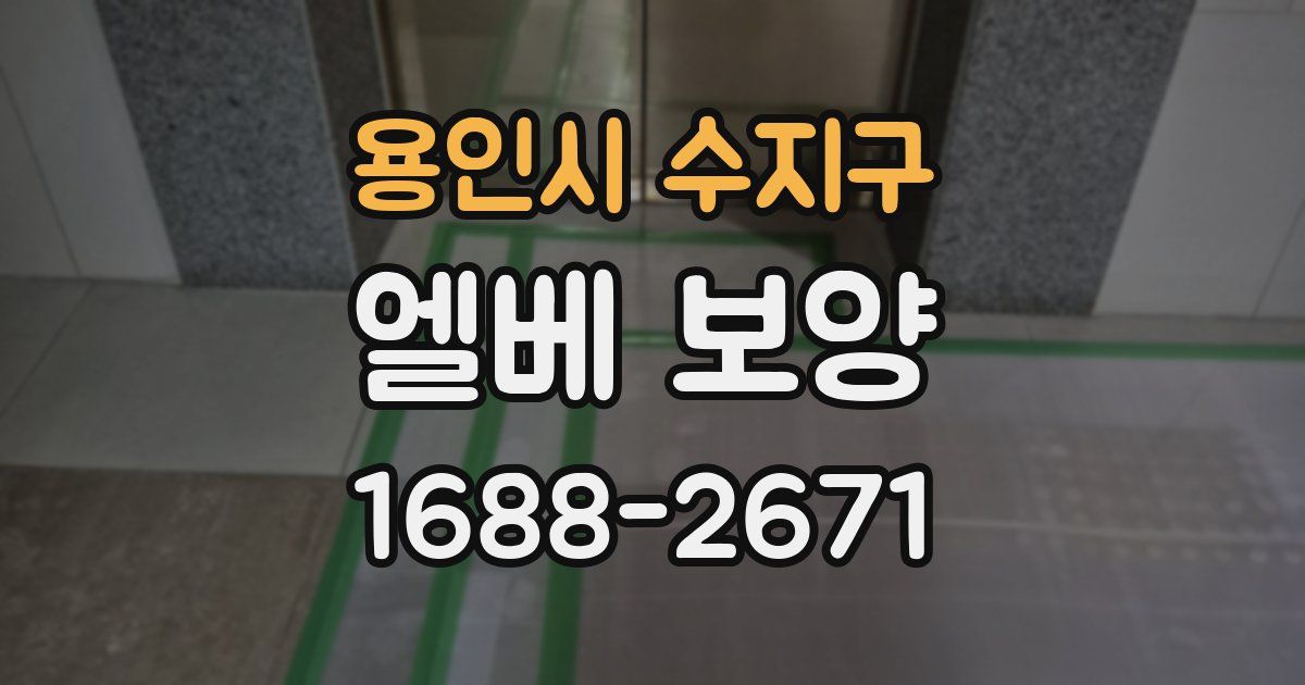 용인시 수지구 엘베 보양