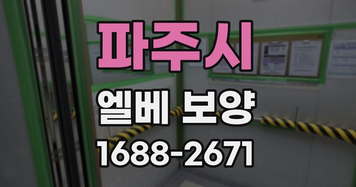 파주시 엘베 보양