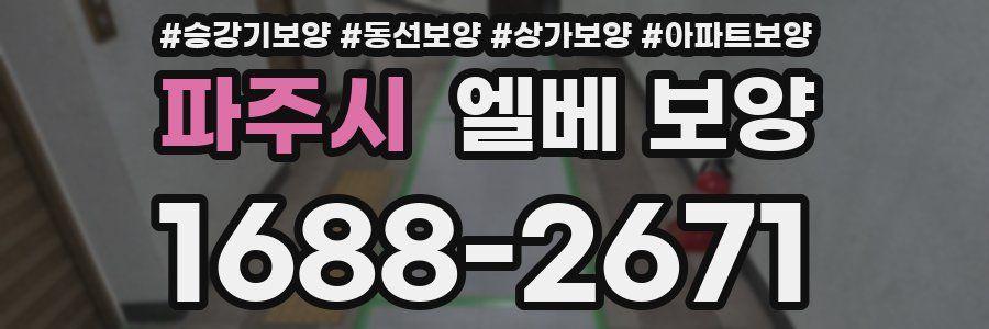 파주시 엘베 보양