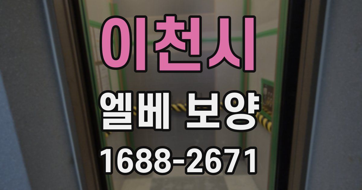 이천시 엘베 보양