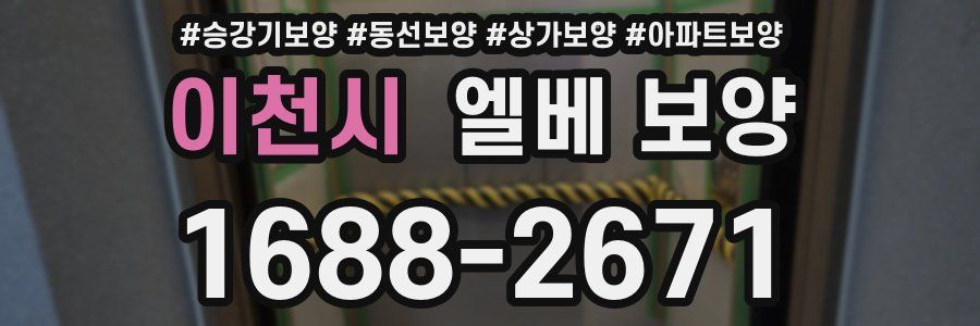 이천시 엘베 보양